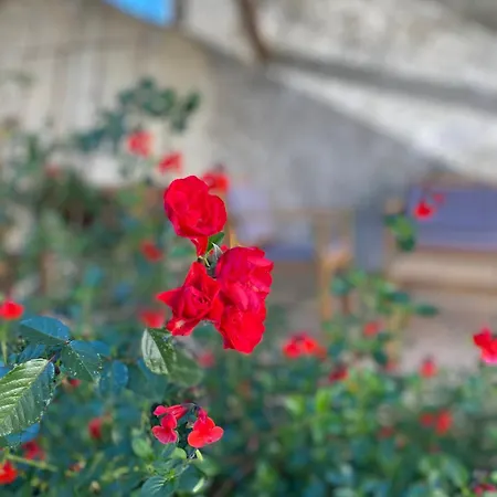 La Pilote Ponlat-Taillebourg