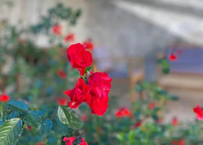 La Pilote Ponlat-Taillebourg